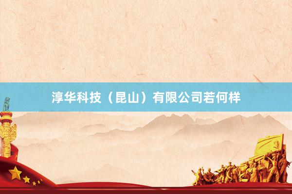 淳华科技（昆山）有限公司若何样